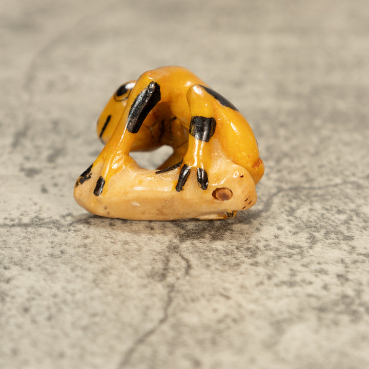 Poison Dart Frog Tagua Nut Carving