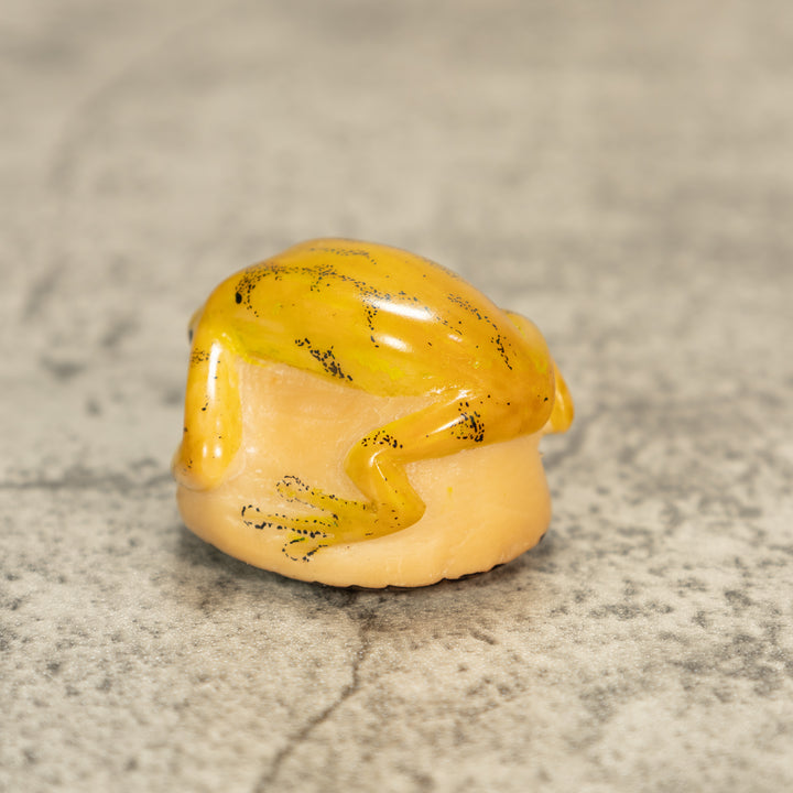 Poison Dart Frog Tagua Nut Carving