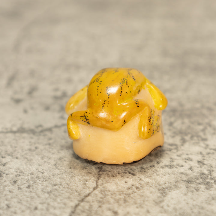 Poison Dart Frog Tagua Nut Carving