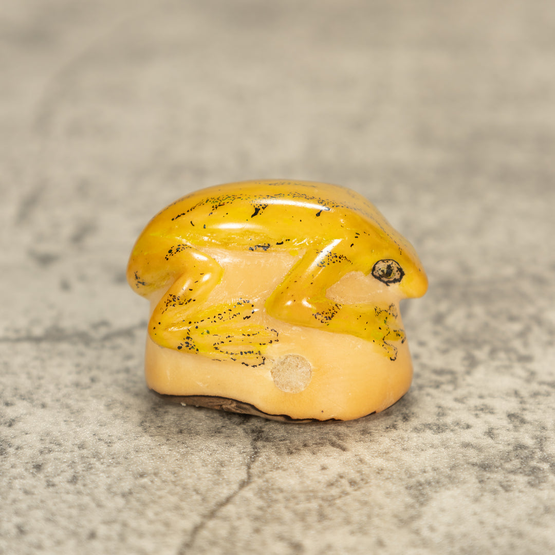 Poison Dart Frog Tagua Nut Carving