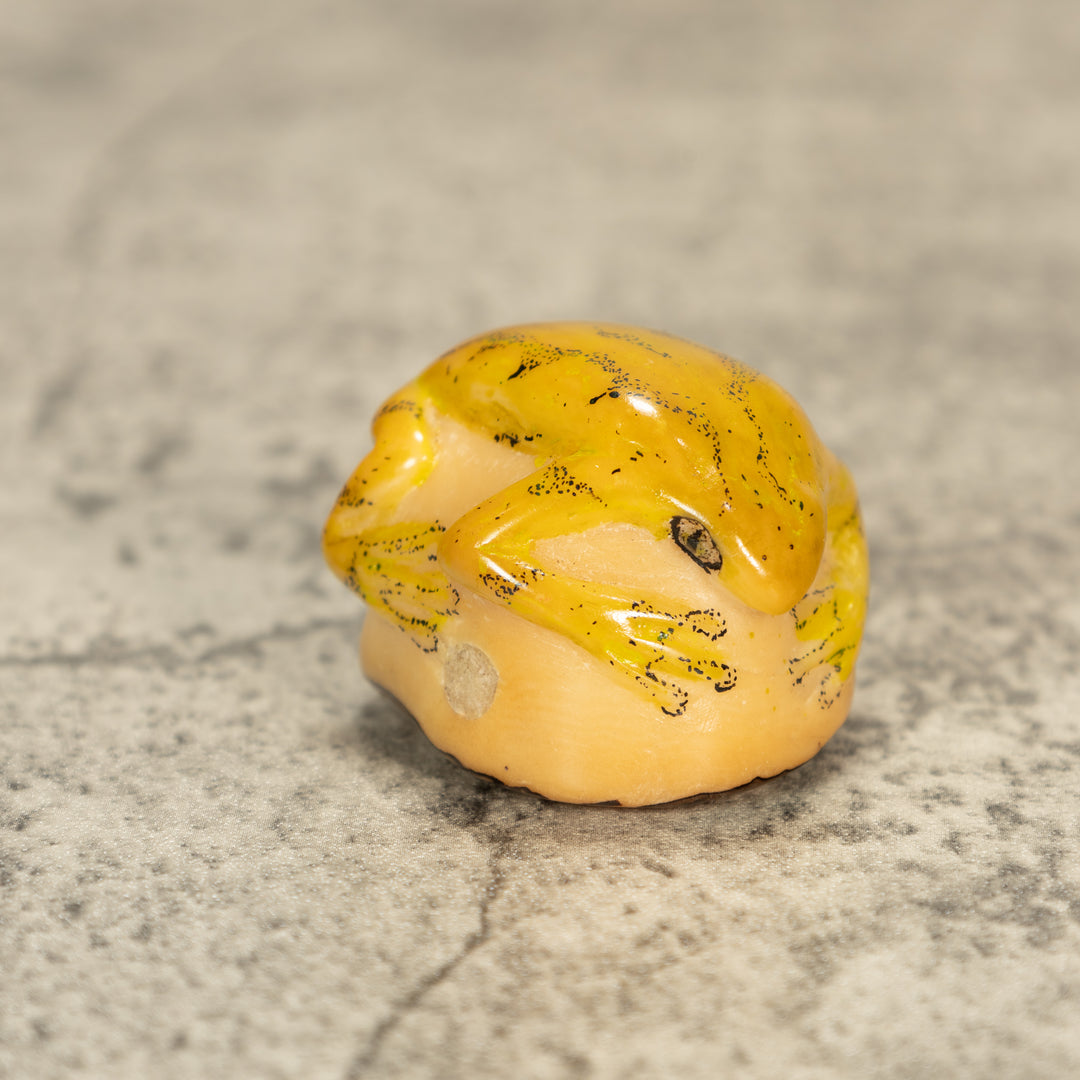 Poison Dart Frog Tagua Nut Carving