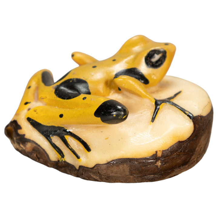 Poison Dart Frog Tagua Nut Carving