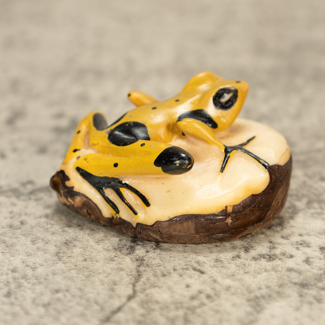 Poison Dart Frog Tagua Nut Carving