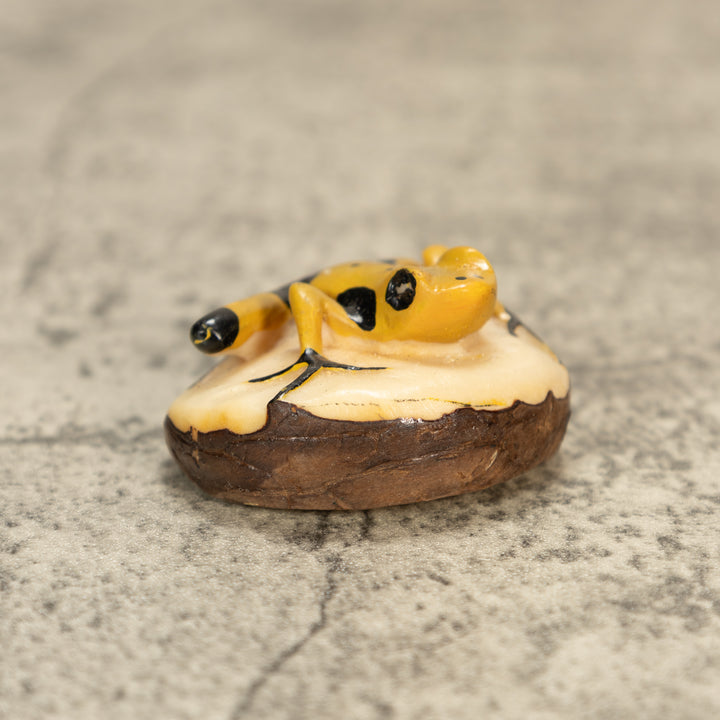 Poison Dart Frog Tagua Nut Carving