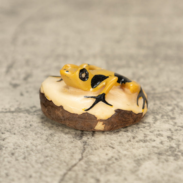 Poison Dart Frog Tagua Nut Carving