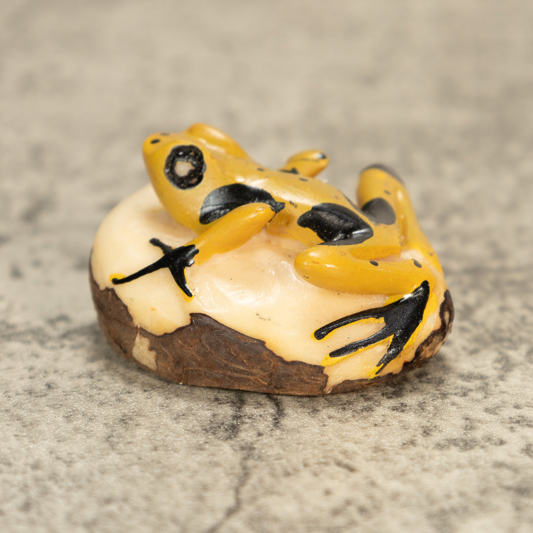 Poison Dart Frog Tagua Nut Carving