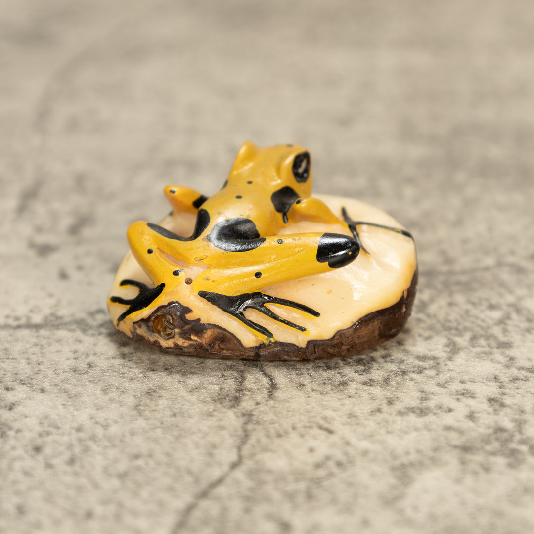 Poison Dart Frog Tagua Nut Carving
