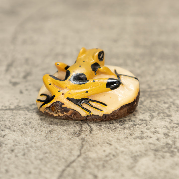 Poison Dart Frog Tagua Nut Carving