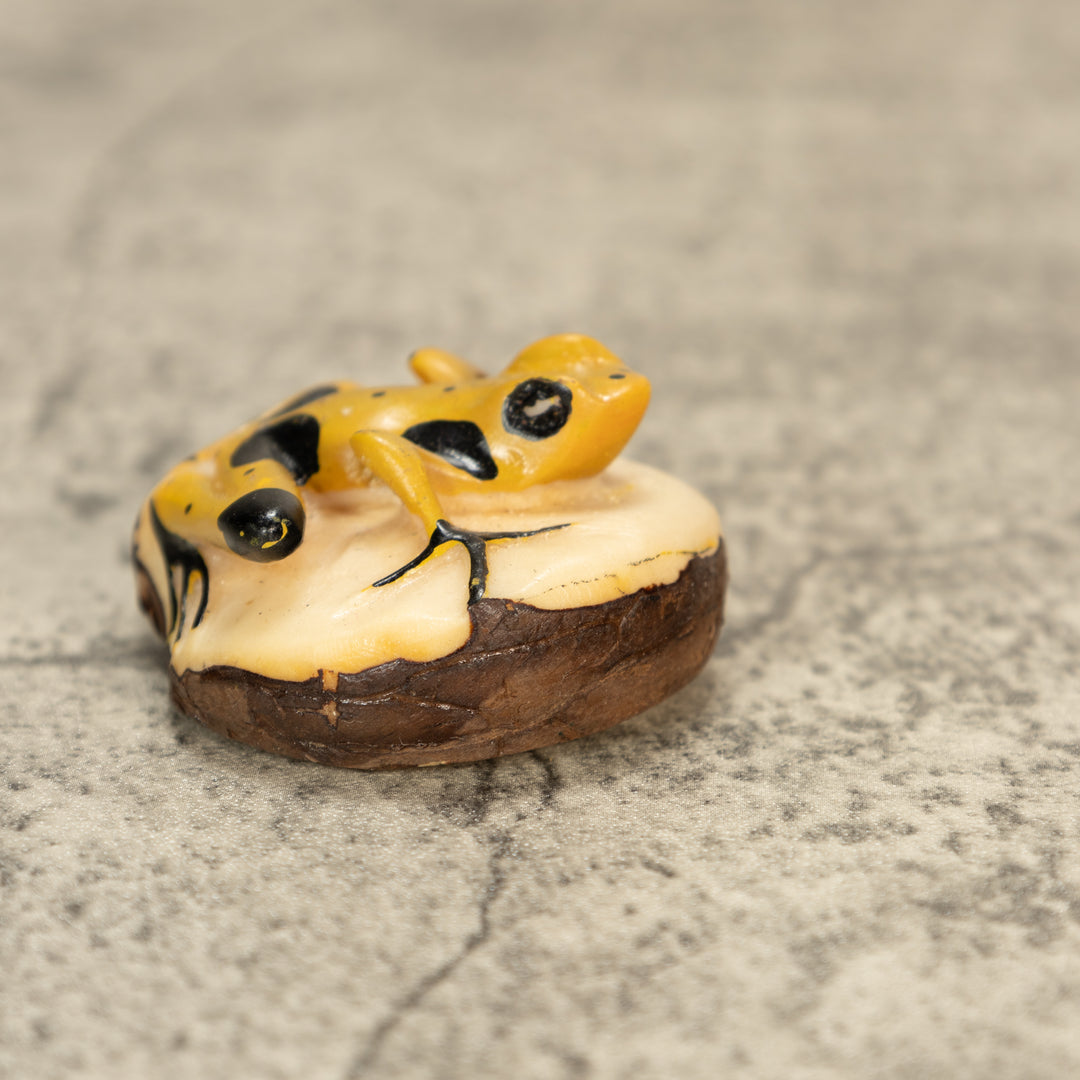 Poison Dart Frog Tagua Nut Carving