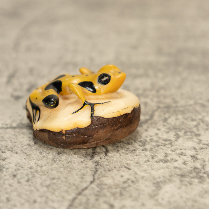 Poison Dart Frog Tagua Nut Carving