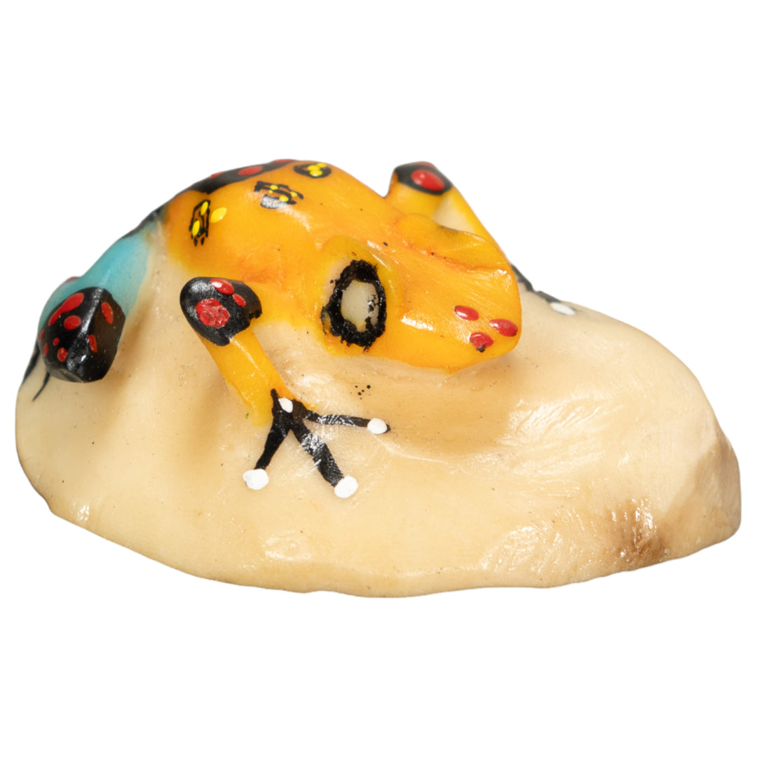 Poison Dart Frog Tagua Nut Carving