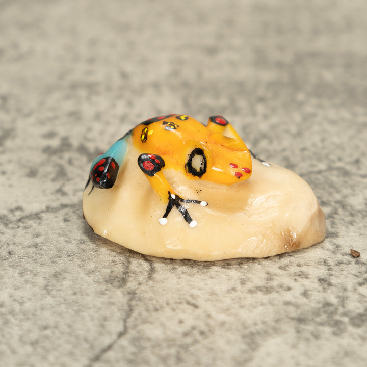 Poison Dart Frog Tagua Nut Carving