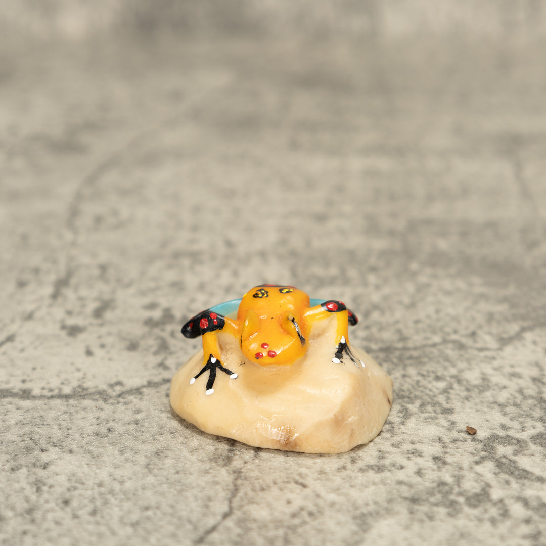 Poison Dart Frog Tagua Nut Carving