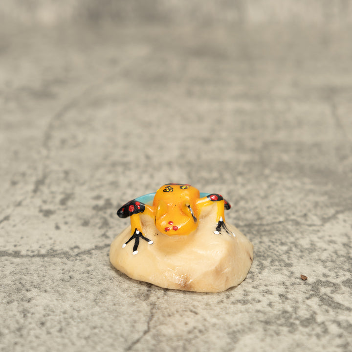 Poison Dart Frog Tagua Nut Carving