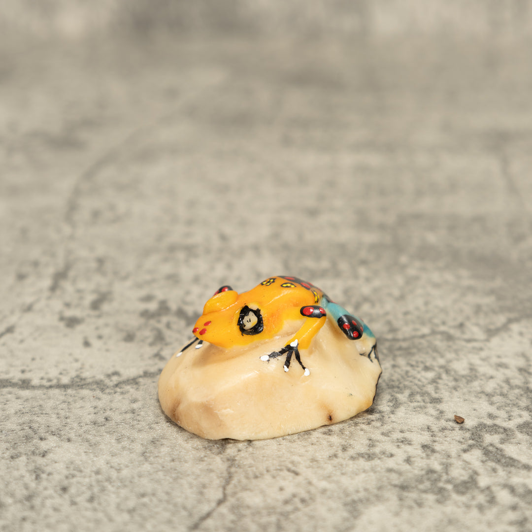 Poison Dart Frog Tagua Nut Carving