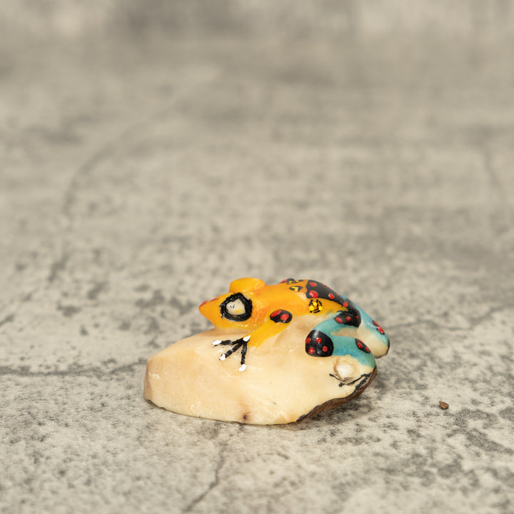 Poison Dart Frog Tagua Nut Carving