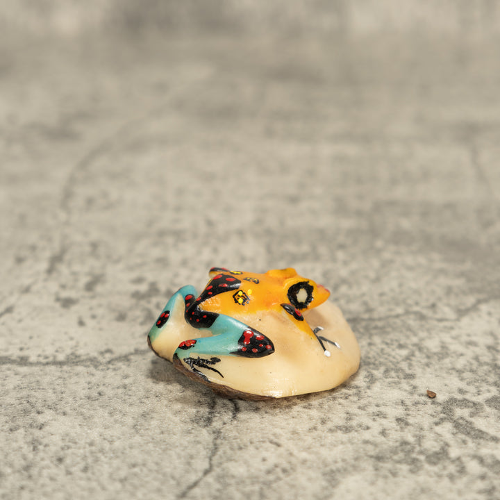 Poison Dart Frog Tagua Nut Carving