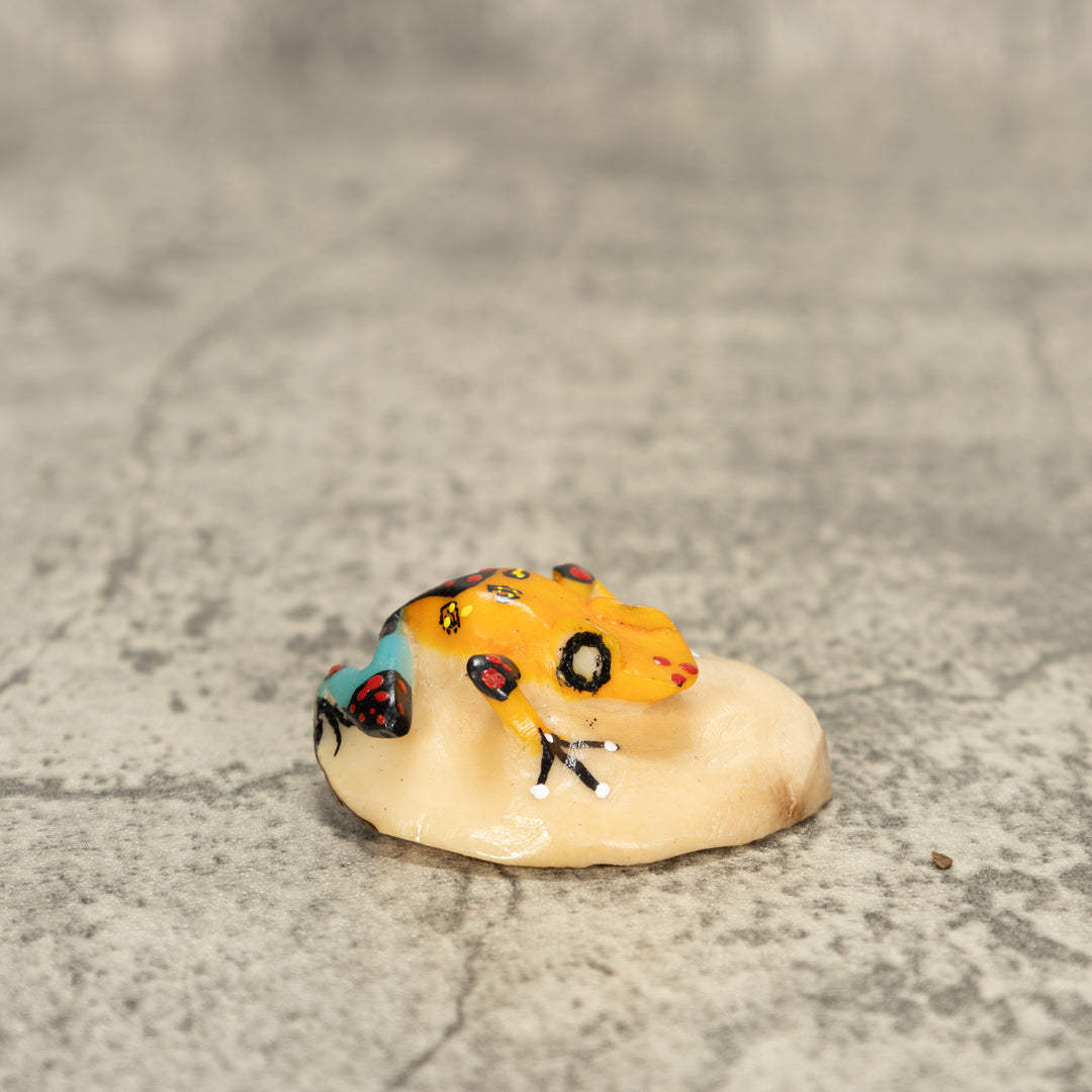 Poison Dart Frog Tagua Nut Carving