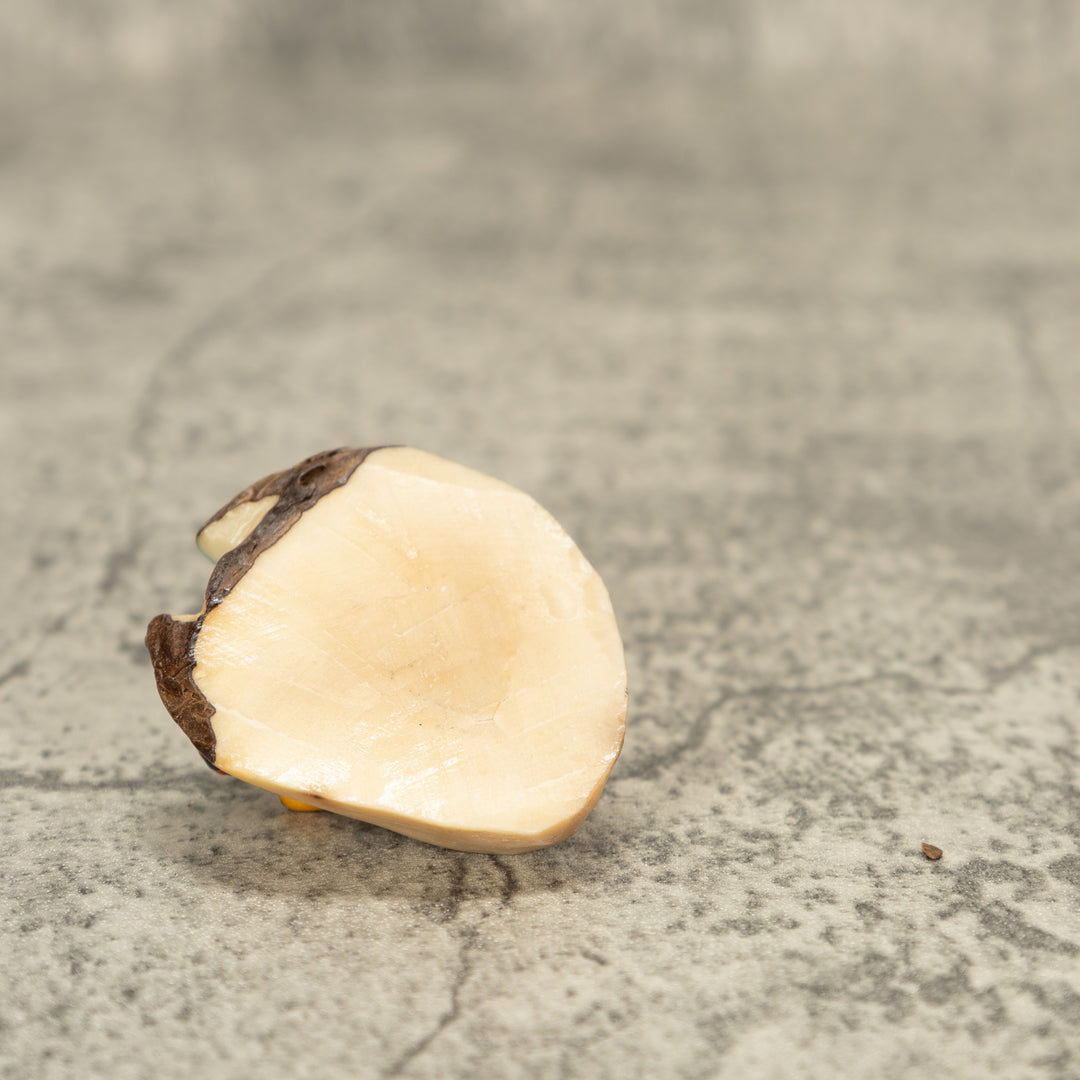 Poison Dart Frog Tagua Nut Carving