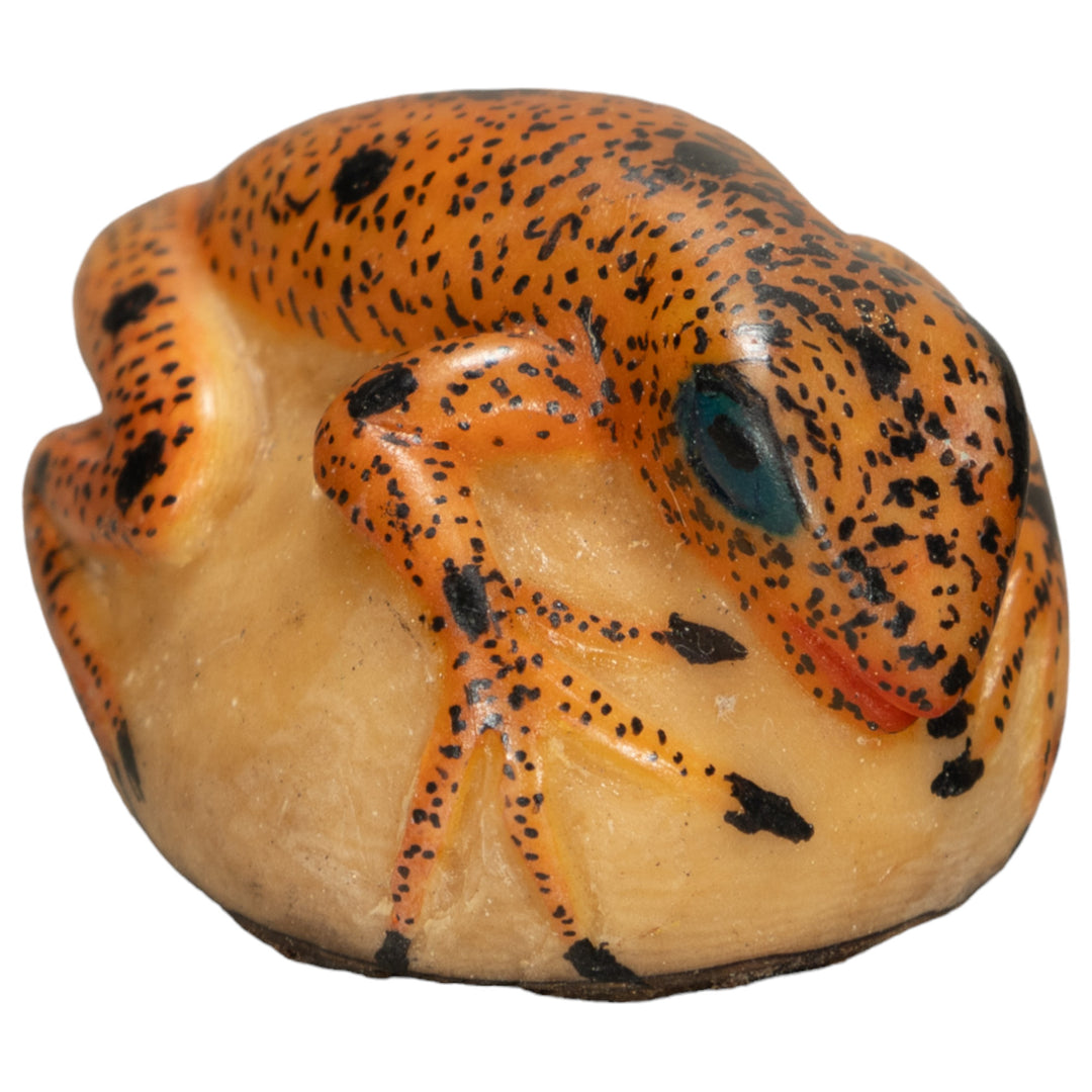 Poison Dart Frog Tagua Nut Carving