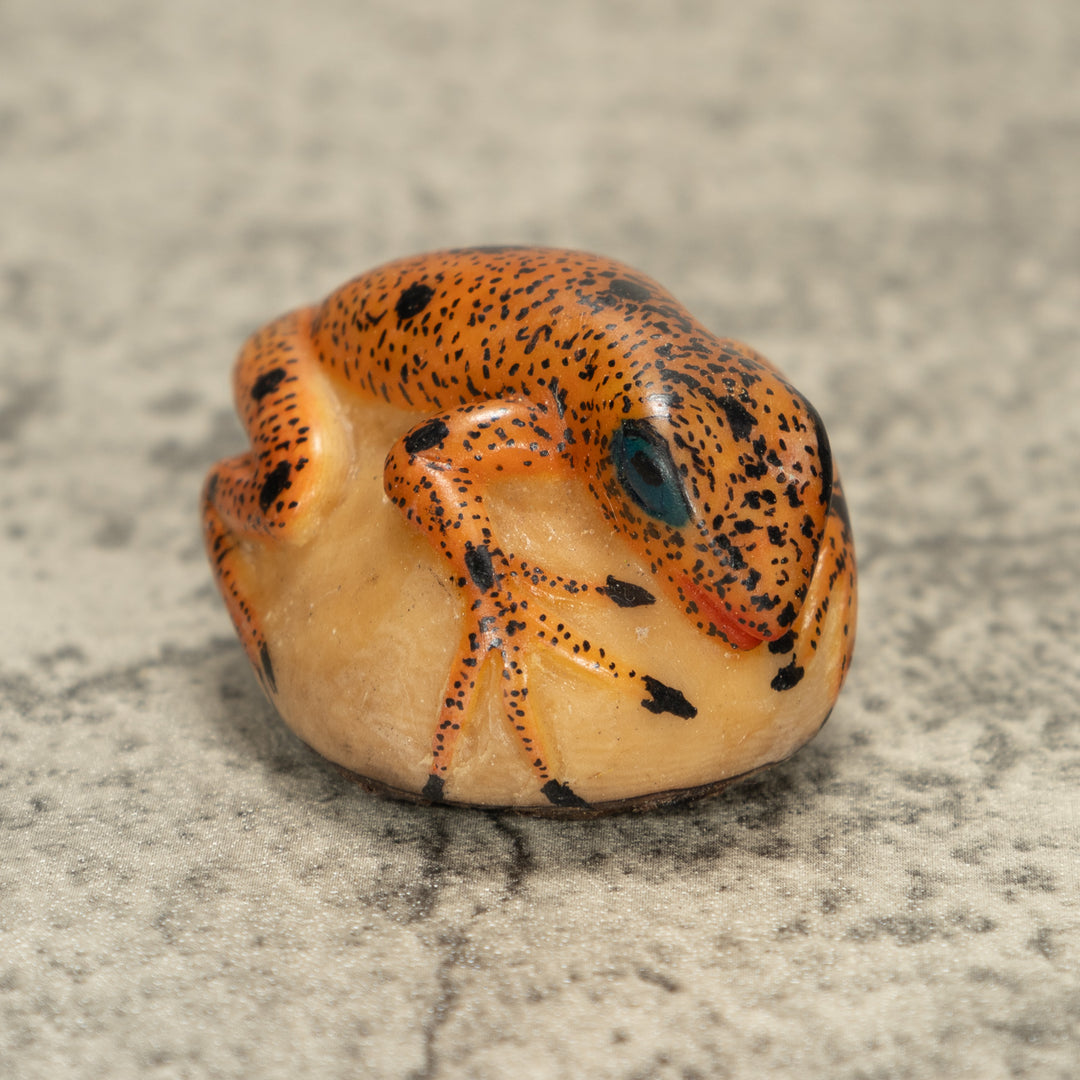 Poison Dart Frog Tagua Nut Carving