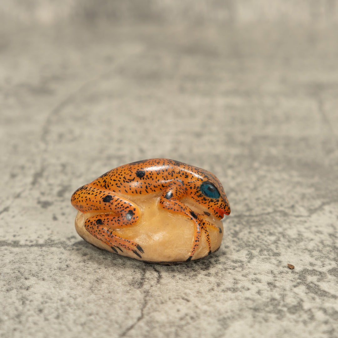 Poison Dart Frog Tagua Nut Carving