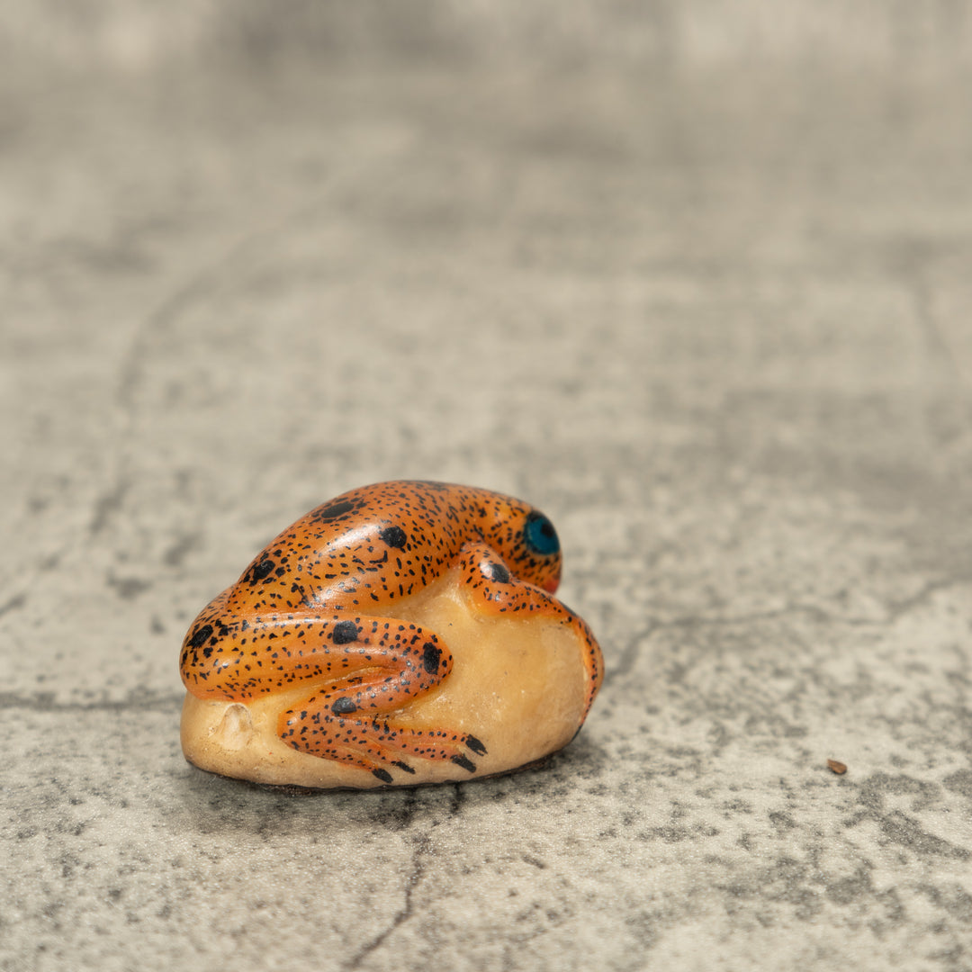 Poison Dart Frog Tagua Nut Carving