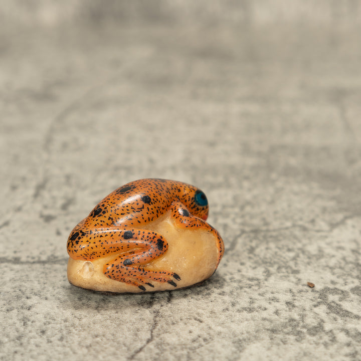 Poison Dart Frog Tagua Nut Carving