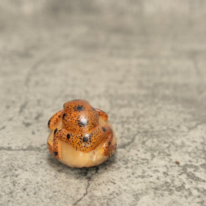 Poison Dart Frog Tagua Nut Carving