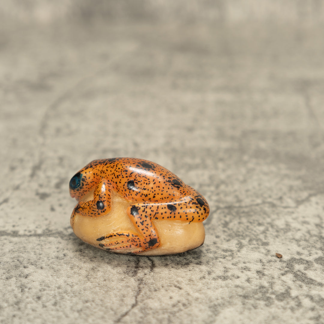 Poison Dart Frog Tagua Nut Carving