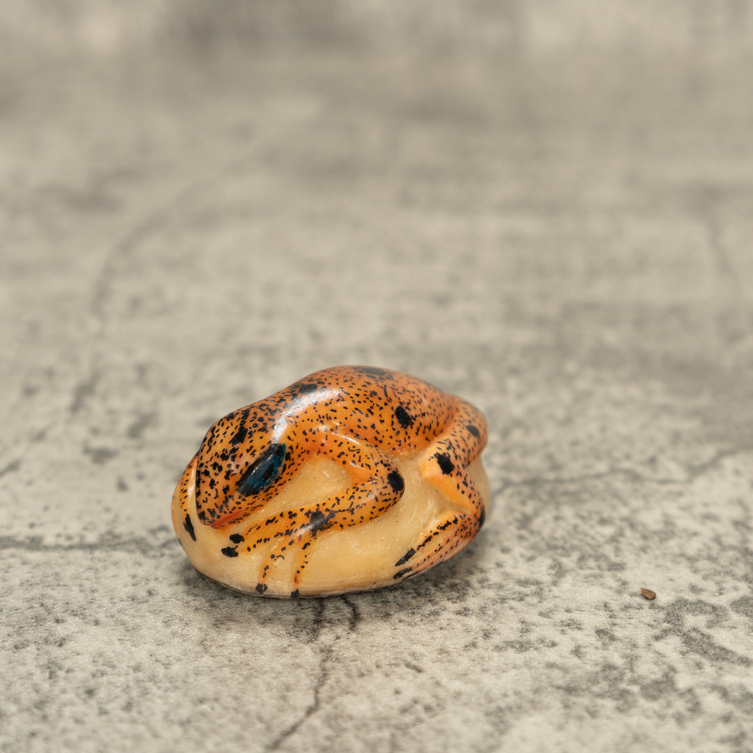 Poison Dart Frog Tagua Nut Carving