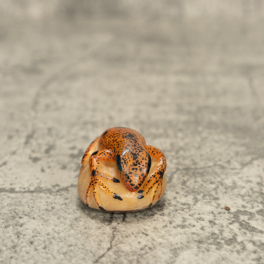 Poison Dart Frog Tagua Nut Carving