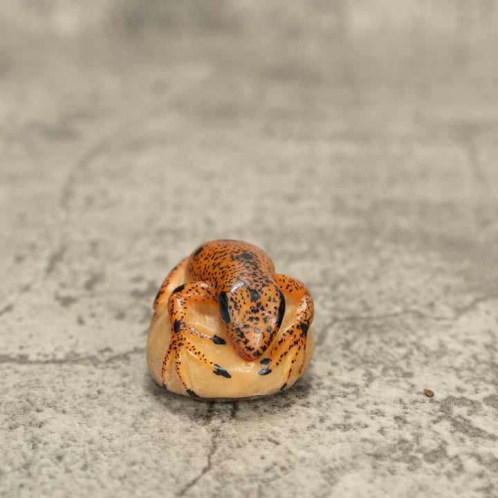 Poison Dart Frog Tagua Nut Carving