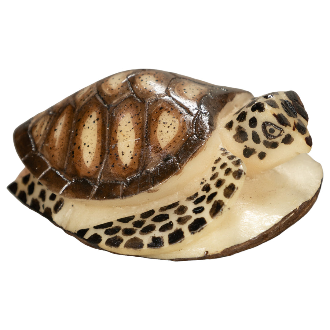 Sea Turtle Tagua Nut Carving