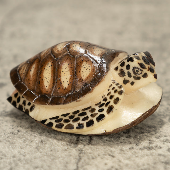 Sea Turtle Tagua Nut Carving