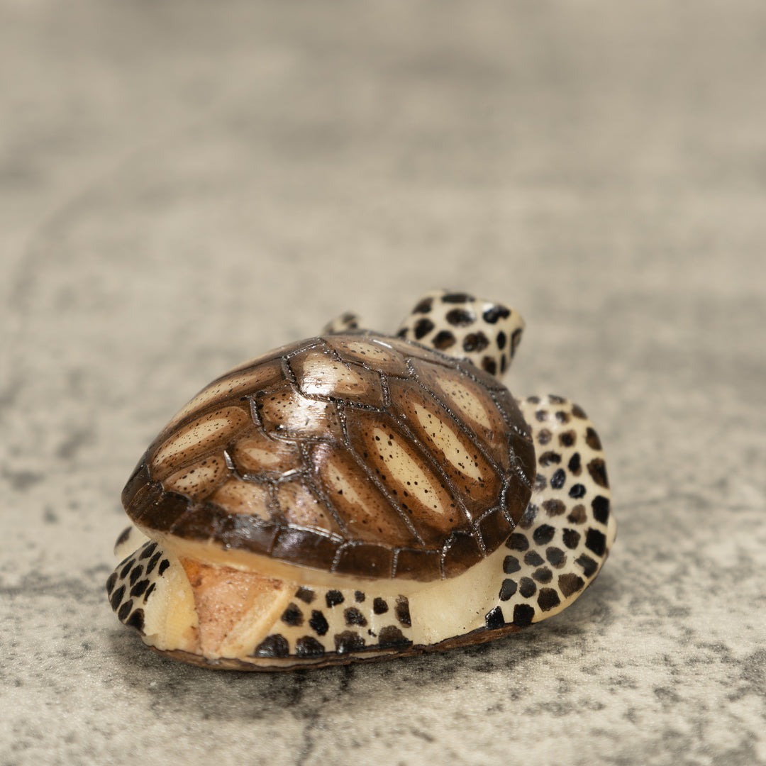 Sea Turtle Tagua Nut Carving