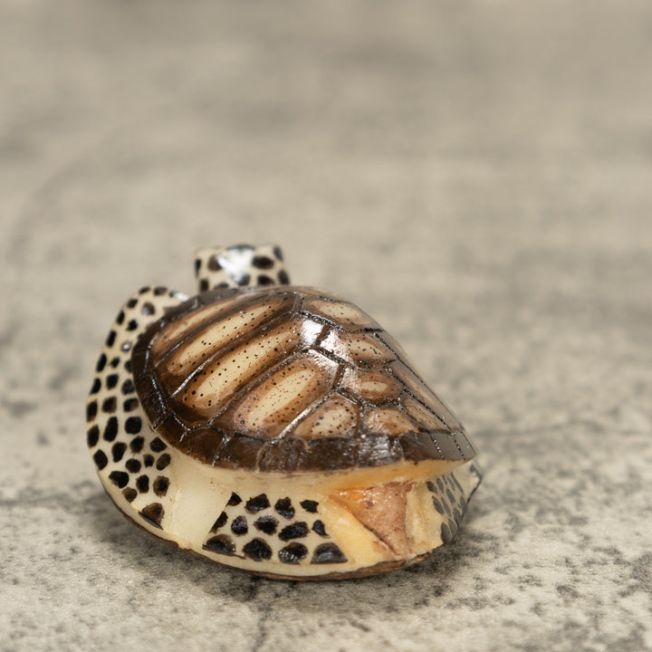 Sea Turtle Tagua Nut Carving