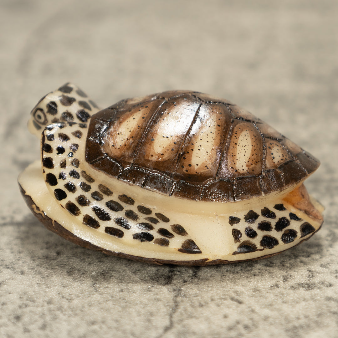 Sea Turtle Tagua Nut Carving
