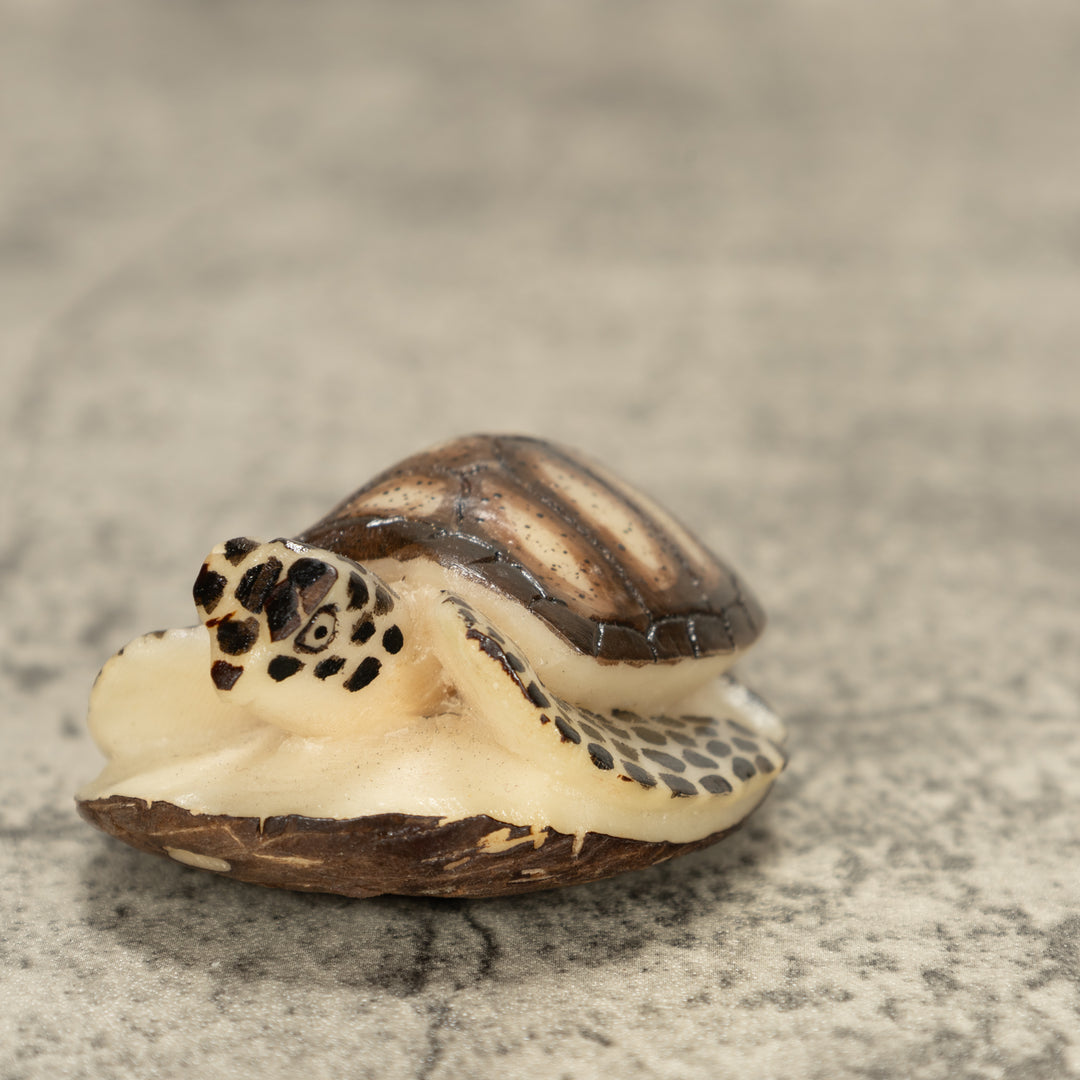 Sea Turtle Tagua Nut Carving