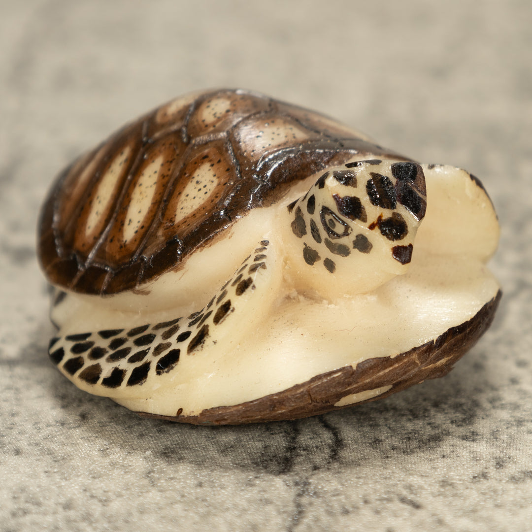 Sea Turtle Tagua Nut Carving