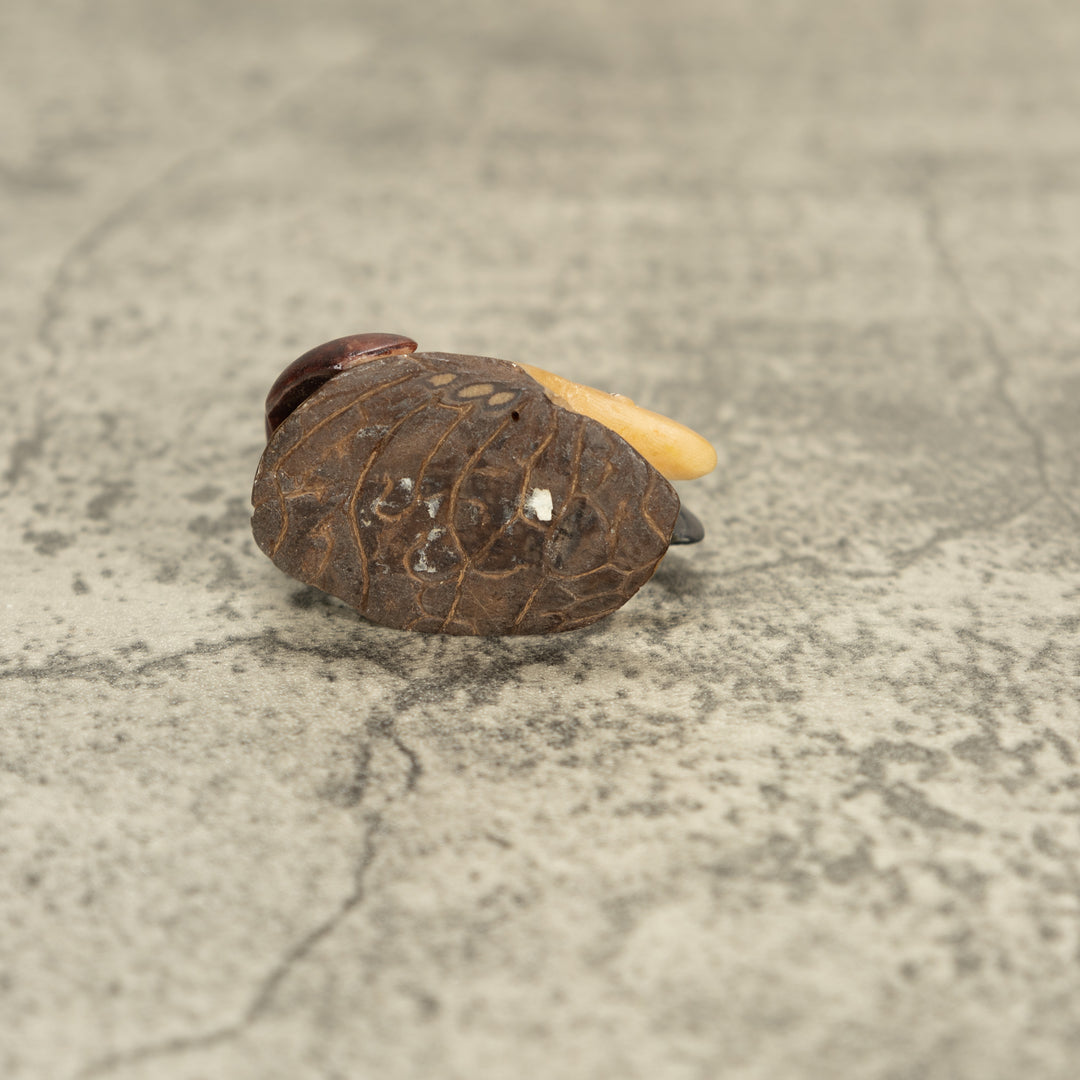 Vintage Bird Tagua Nut Carving