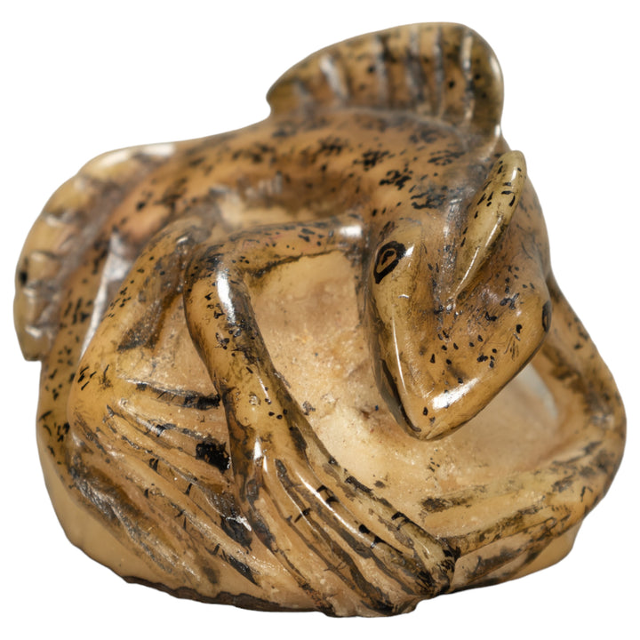 Jesus Lizard Tagua Nut Carving
