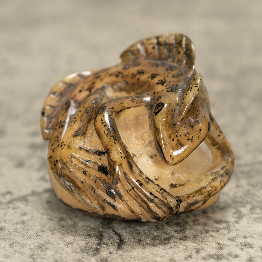 Jesus Lizard Tagua Nut Carving