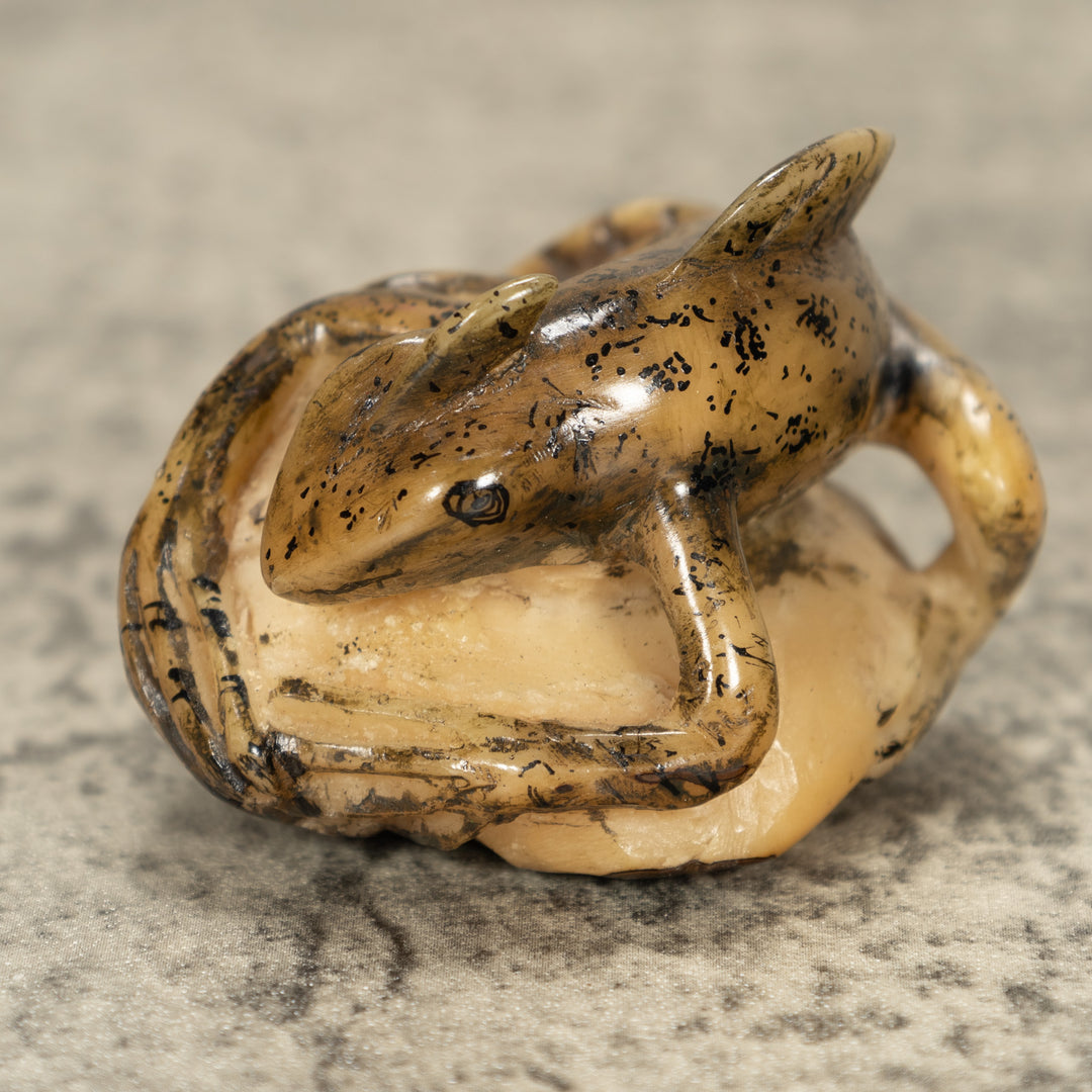 Jesus Lizard Tagua Nut Carving