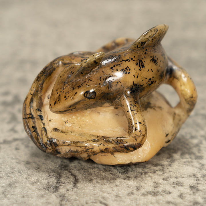 Jesus Lizard Tagua Nut Carving