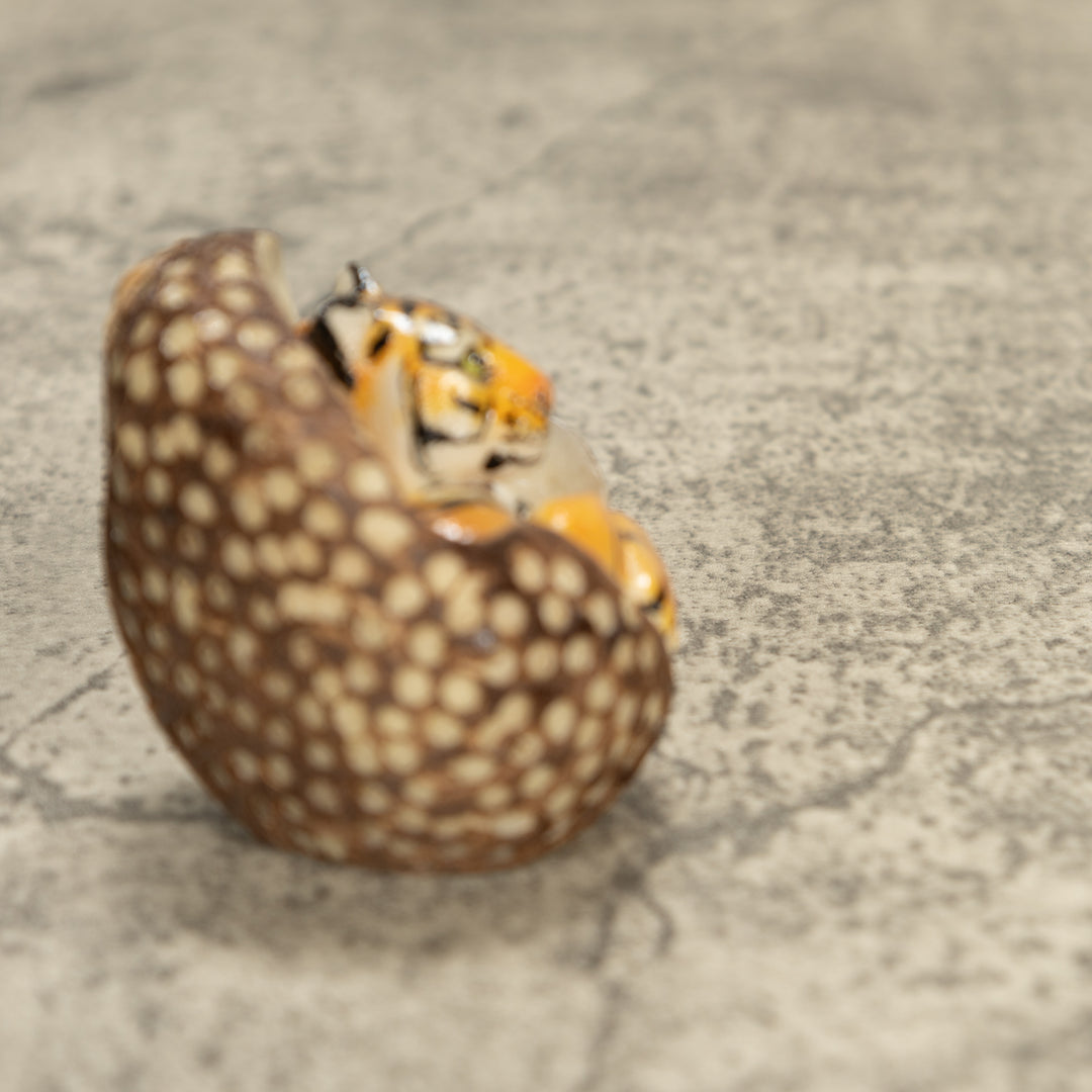 Bengal Tiger Cat Tagua Nut Carving