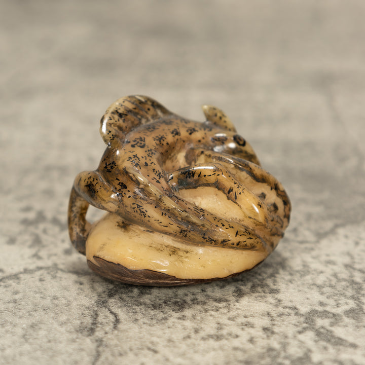 Jesus Lizard Tagua Nut Carving