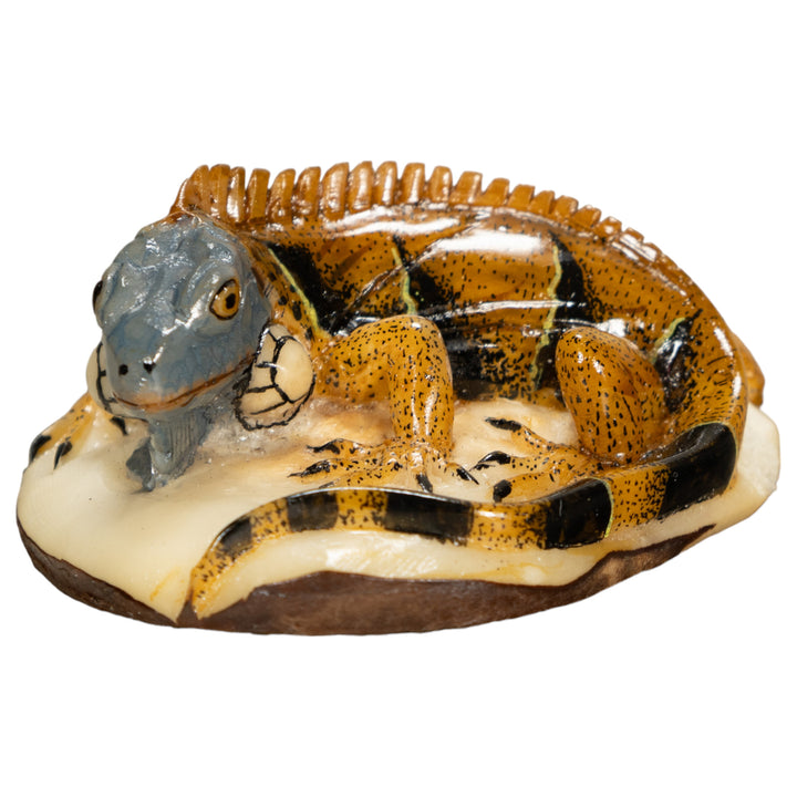 Brown Iguana Lizard Tagua Nut Carving