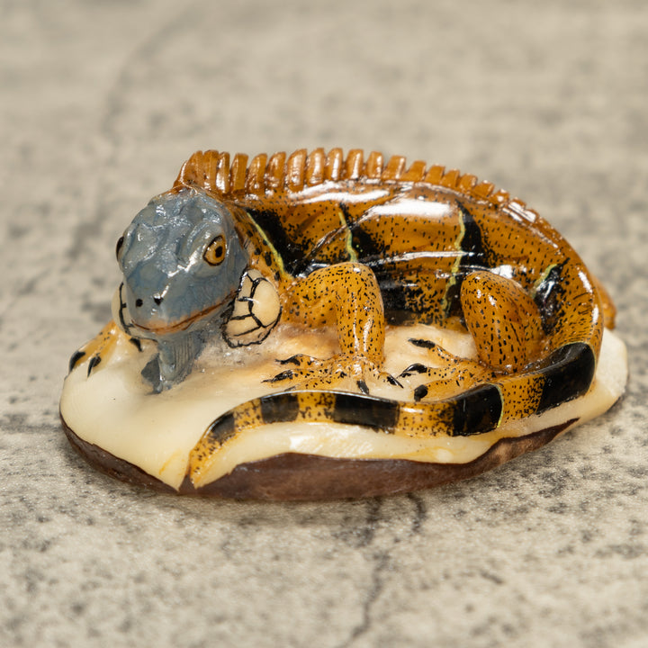 Brown Iguana Lizard Tagua Nut Carving