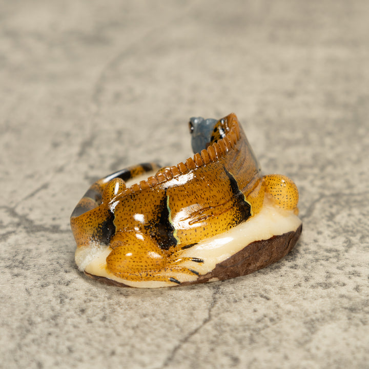 Brown Iguana Lizard Tagua Nut Carving